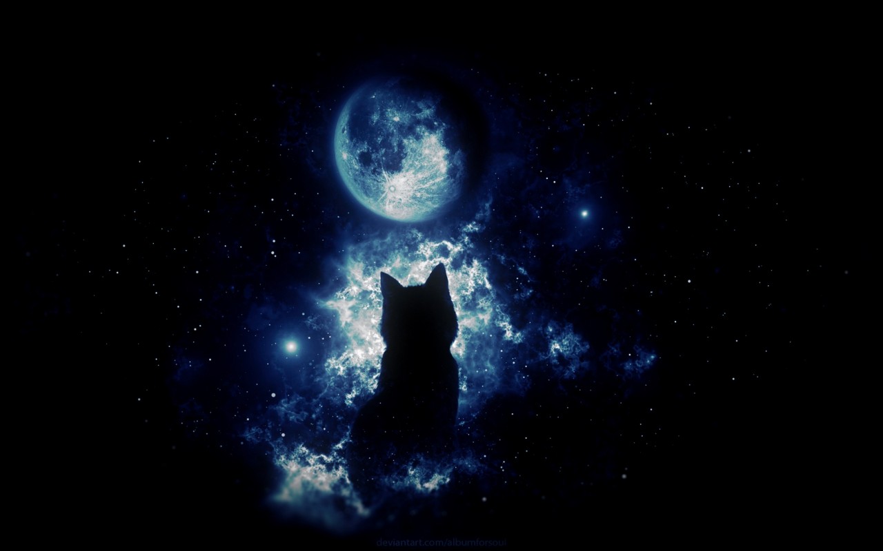 Anime Cat Staring At The Moon Hd Wallpaper 1280x800 Hd Wallpaper Wallpapers Net
