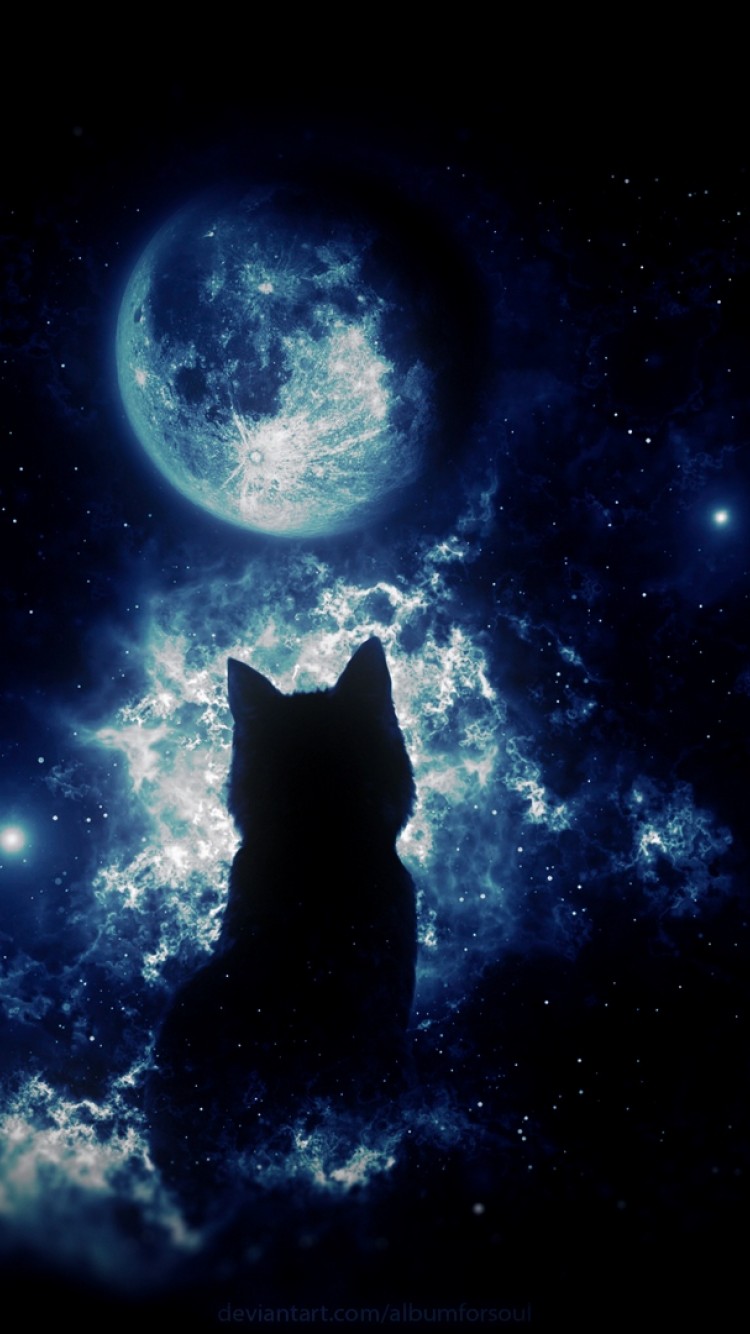 Anime cat staring at the moon HD Wallpaper iPhone 6 / 6S - HD Wallpaper -  