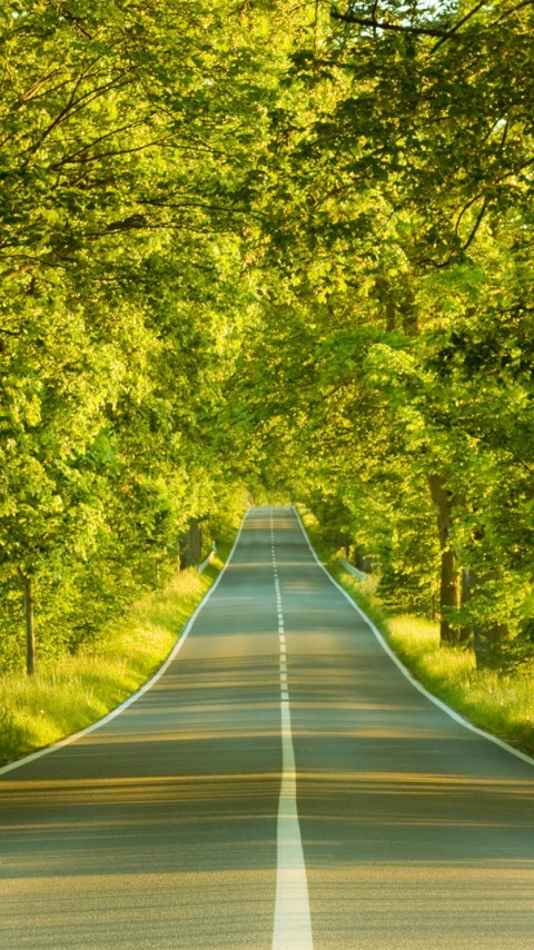 Clear Road Nature 480x854 - HD Wallpaper 