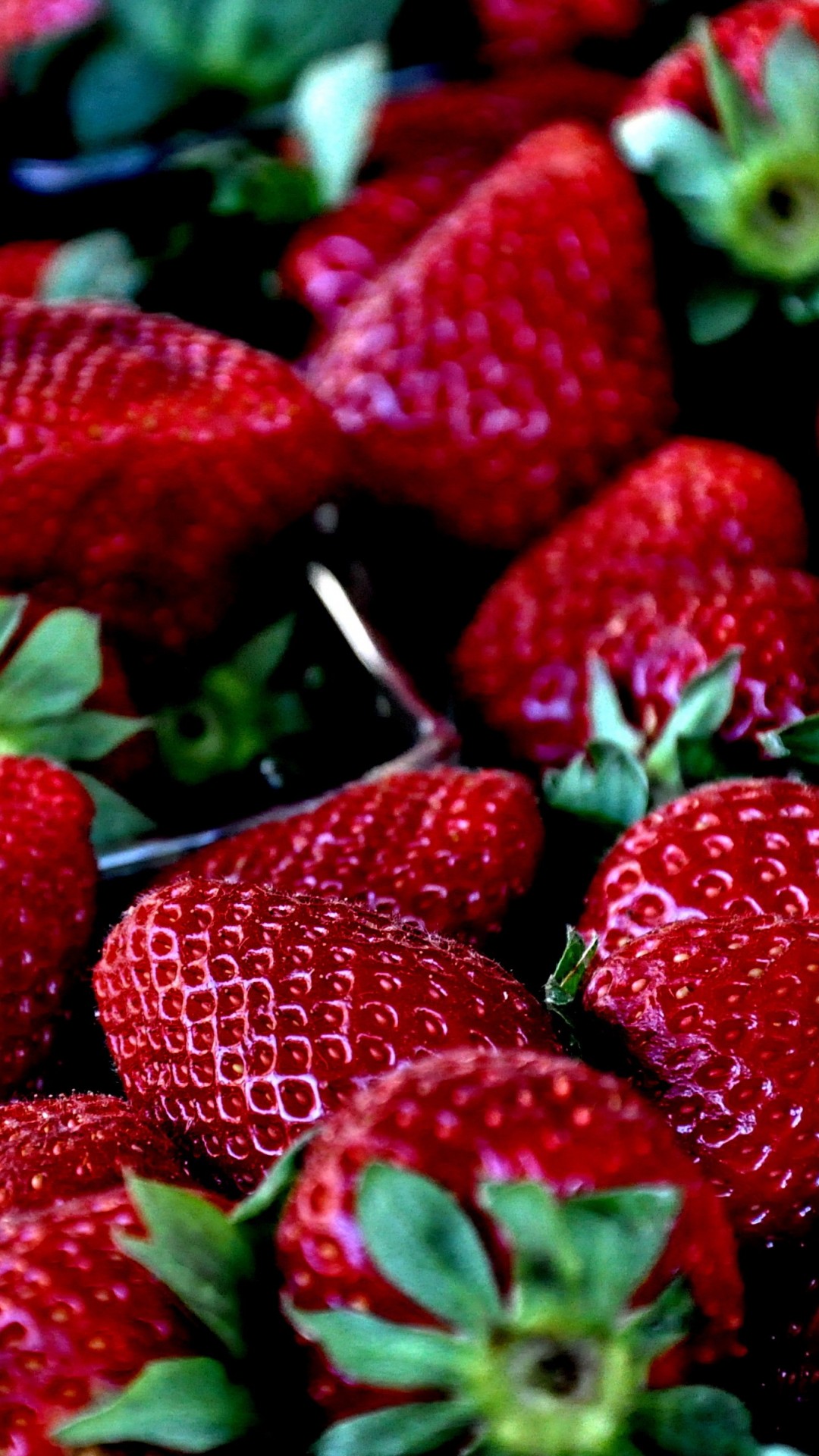 Download Free Strawberry Hd Wallpaper for Desktop and Mobiles iPhone 6 / 6S  Plus - HD Wallpaper 