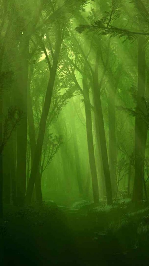 Enchanted Forest HD Wallpaper 480x854 - HD Wallpaper 