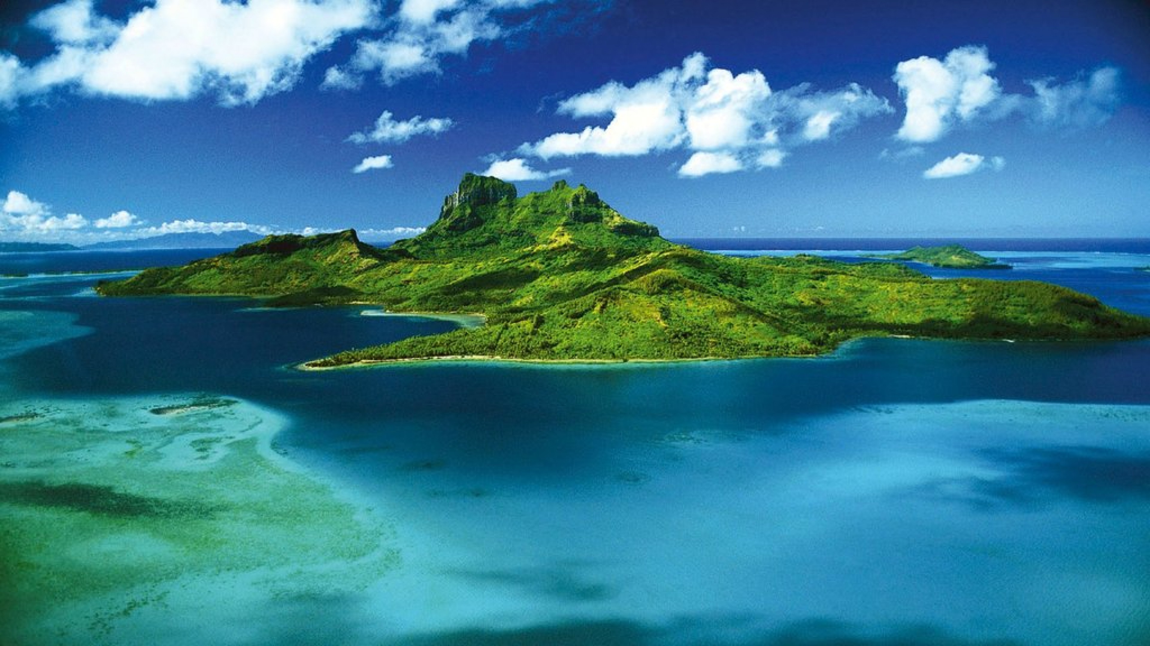 New Zealand's Sub-Tropical Paradise HD Wallpaper 4K Ultra HD - HD Wallpaper  