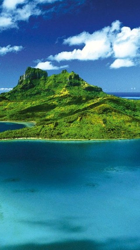 New Zealand's Sub-Tropical Paradise HD Wallpaper 480x854 - HD Wallpaper -  