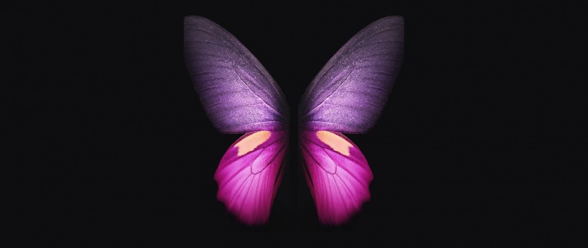 butterfly backgrounds for facebook