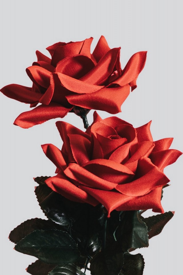 Artificial red rose HD Wallpaper
