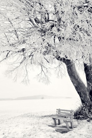 Bench near the sea covered in snow HD Wallpaper