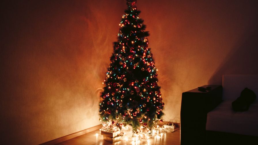 Christmas Tree During Night HD Wallpaper