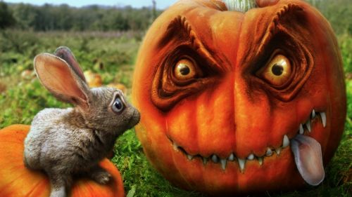 Creepy Halloween Pumpkin HD Wallpaper