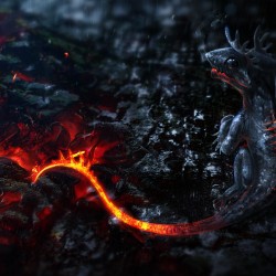 Cute dragon HD Wallpaper