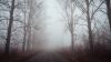 Dawn over a foggy road HD Wallpaper