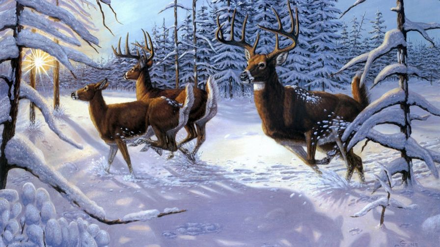 Deers in the snow HD Wallpaper