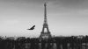 Download Free Eiffel Tower Cityscape Full HD Wallpaper