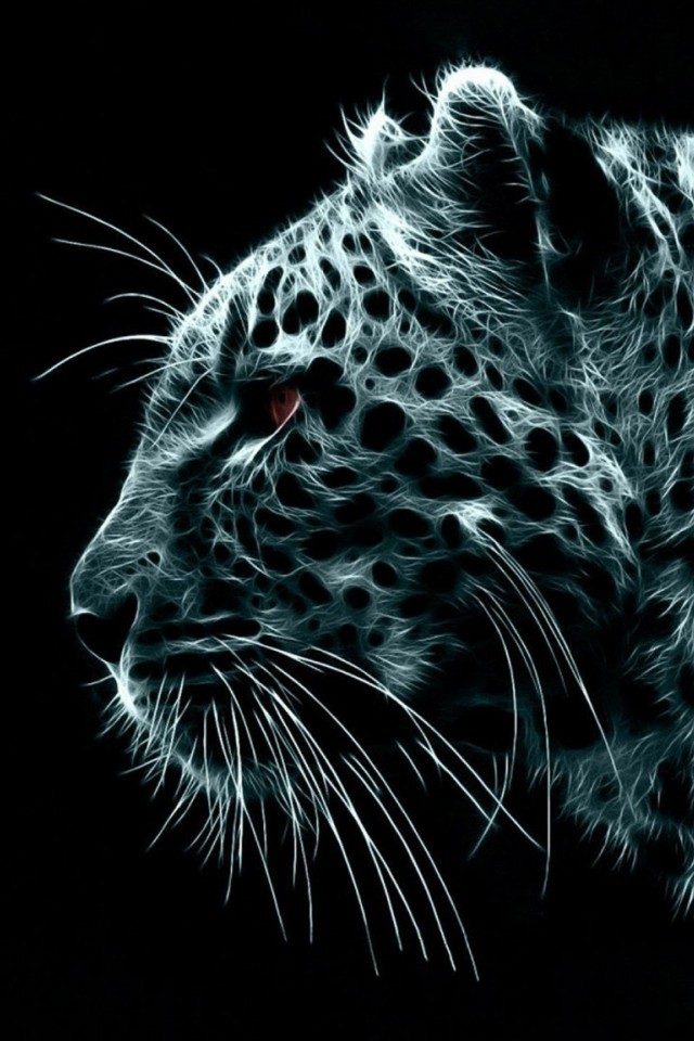 Download Free HD Snow Leopard Wallpaper