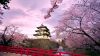 Download Hirosaki castle Japan Full HD Wallpaper