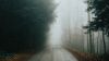 Foggy road HD Wallpaper