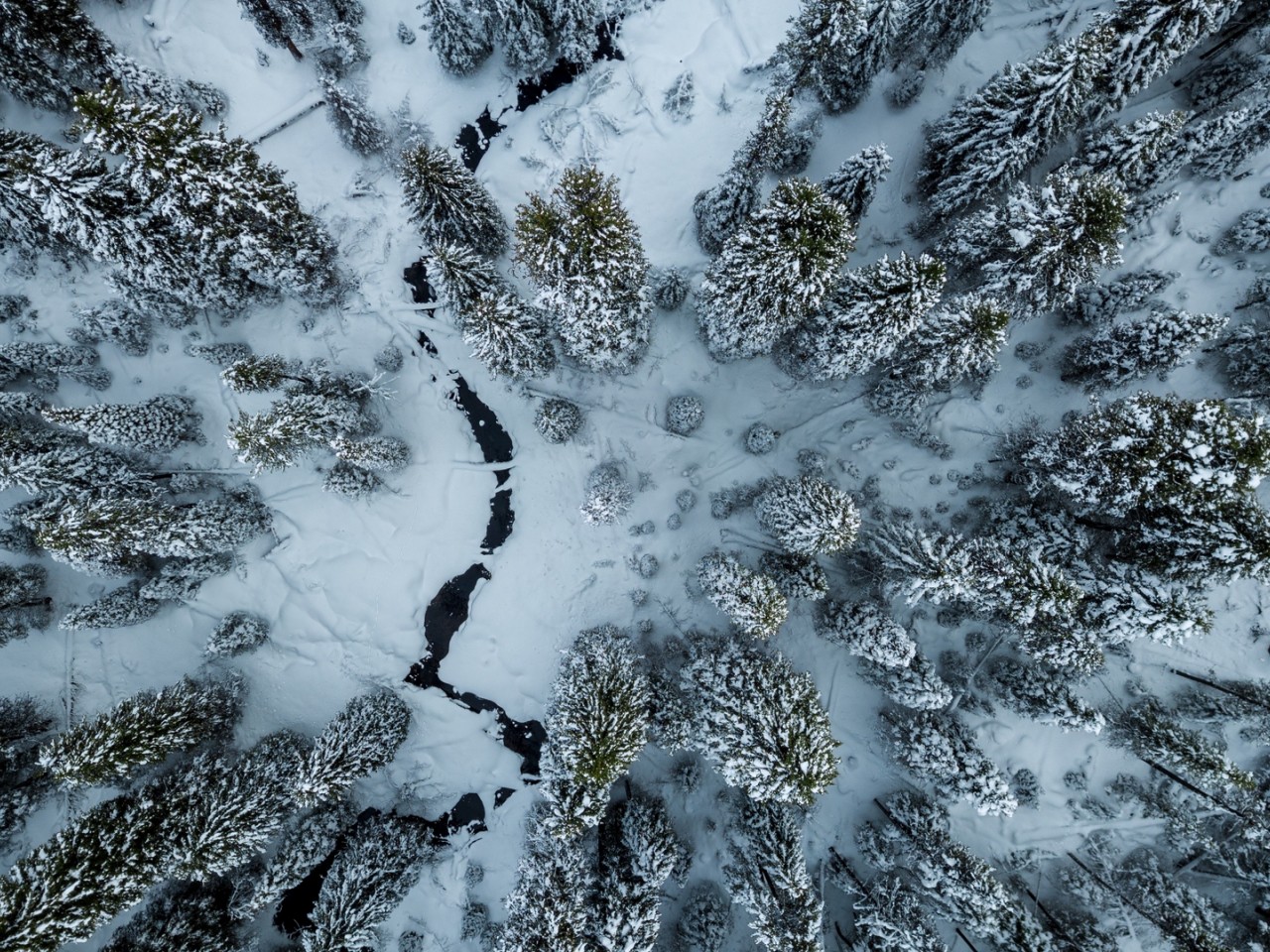 Ice crack next to trees HD Wallpaper