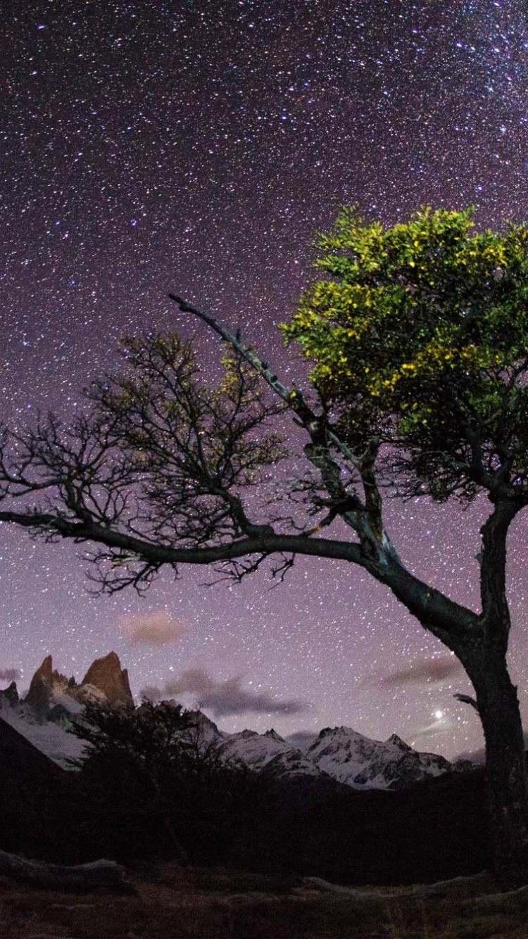 Night Sky, Patagonia HD Wallpaper