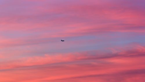 Plane flying over a pink sky HD Wallpaper