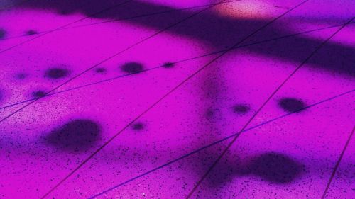 Purple floor HD Wallpaper