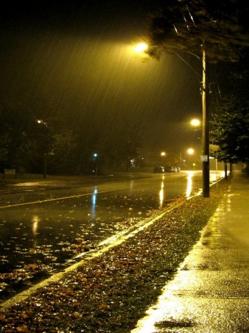 Rainy Street At Night HD Wallpaper