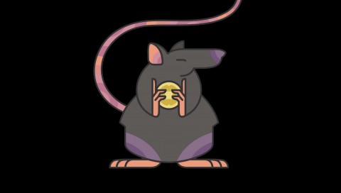 Rat with Coins HD Wallpaper