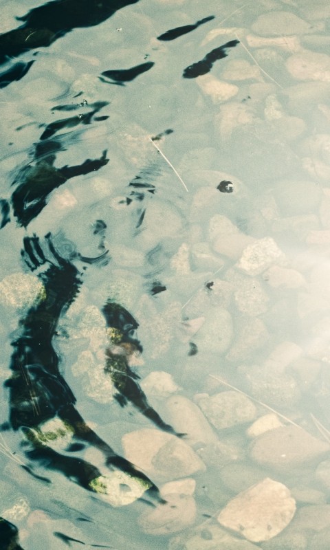 Transparent water pebbles HD Wallpaper