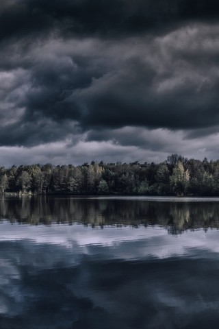 Trees reflection at the lake HD Wallpaper