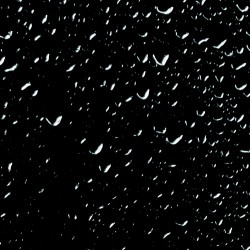 White drops in black surface HD Wallpaper