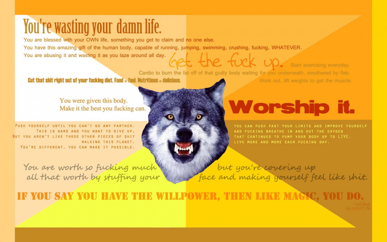Worship it HD Wallpaper