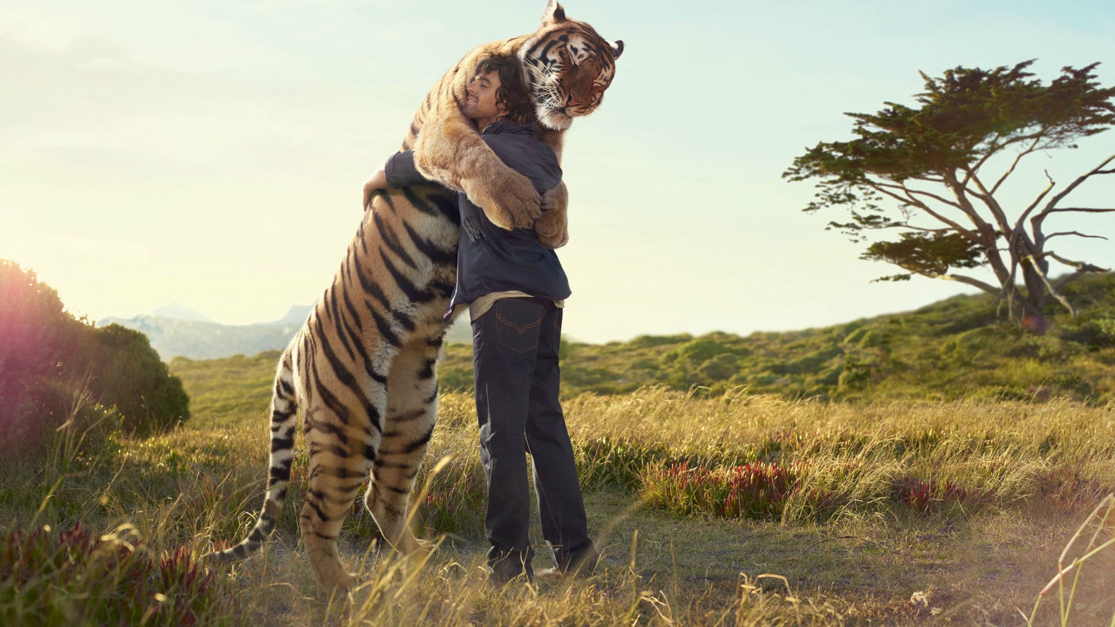Wildlife in danger. Тигр в природе. Тигр обнимается с человеком. Обнимашки с тигром. Люди и животные.