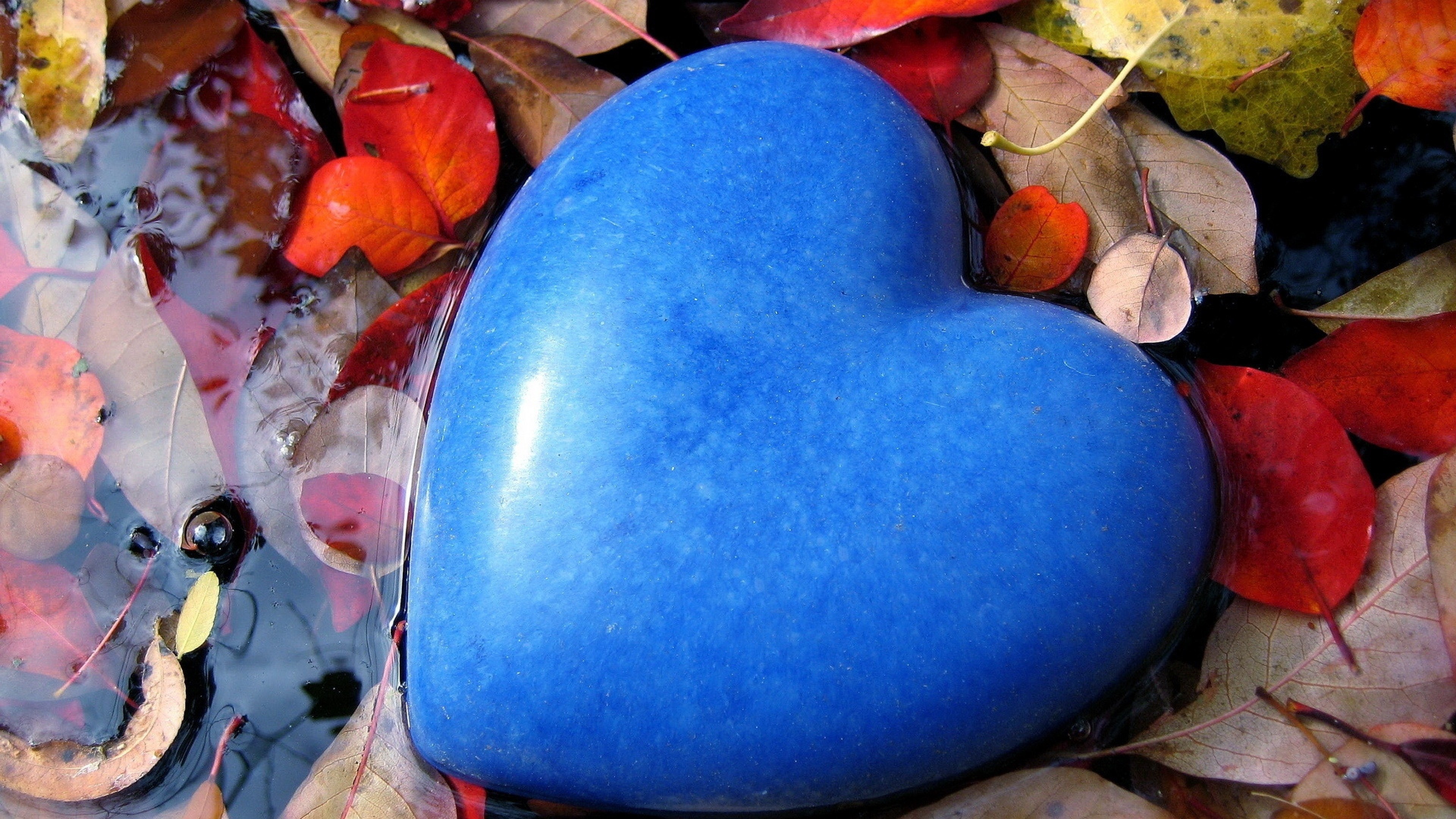 Полюбила голубого. Необычные сердечки. Сердце голубое. Синее сердечко. Разноцветное сердце.