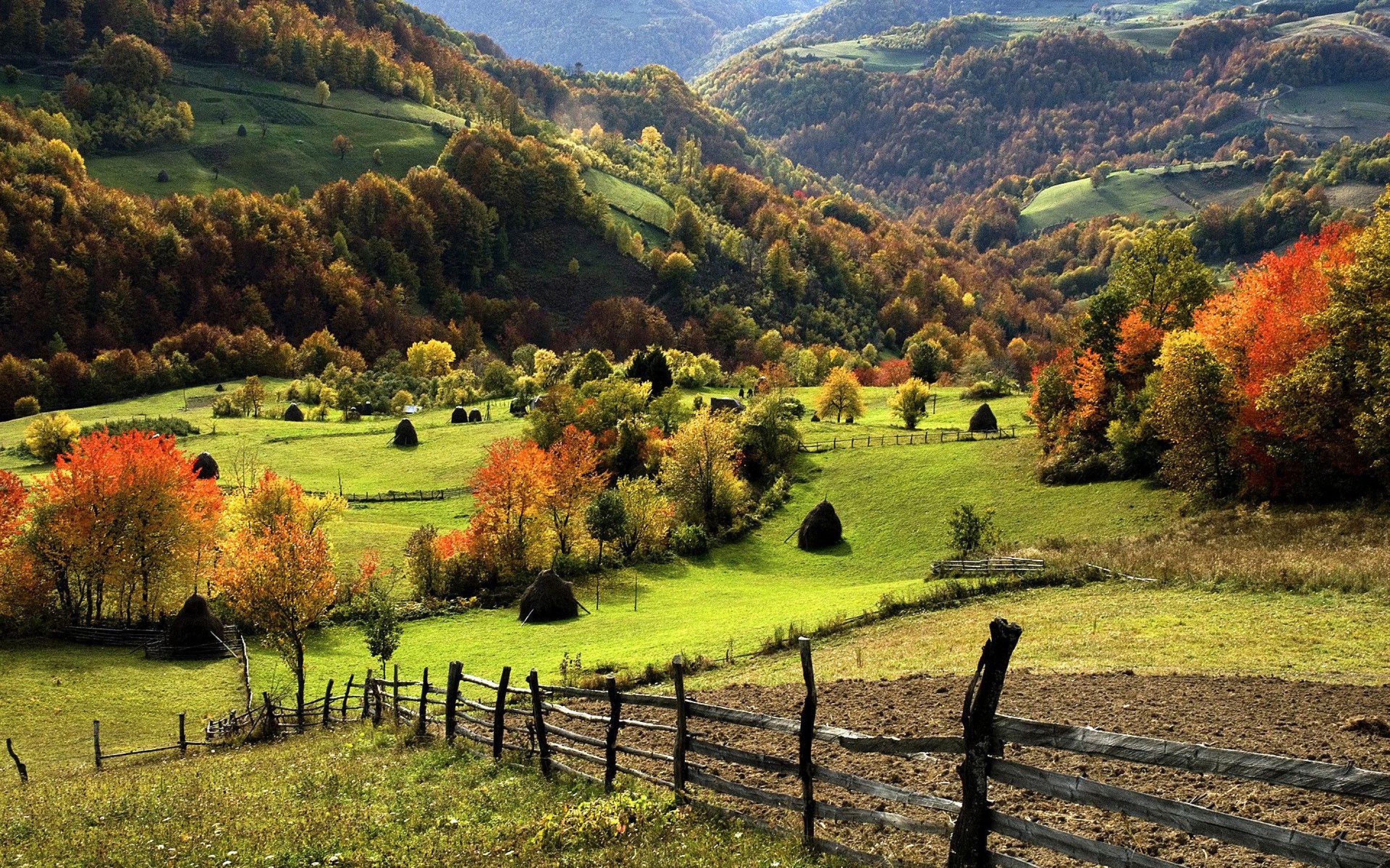 The countryside is beautiful. Шварцвальд осенью. Златибор Сербия. Златибор осенью. Гора Златибор Карпаты.