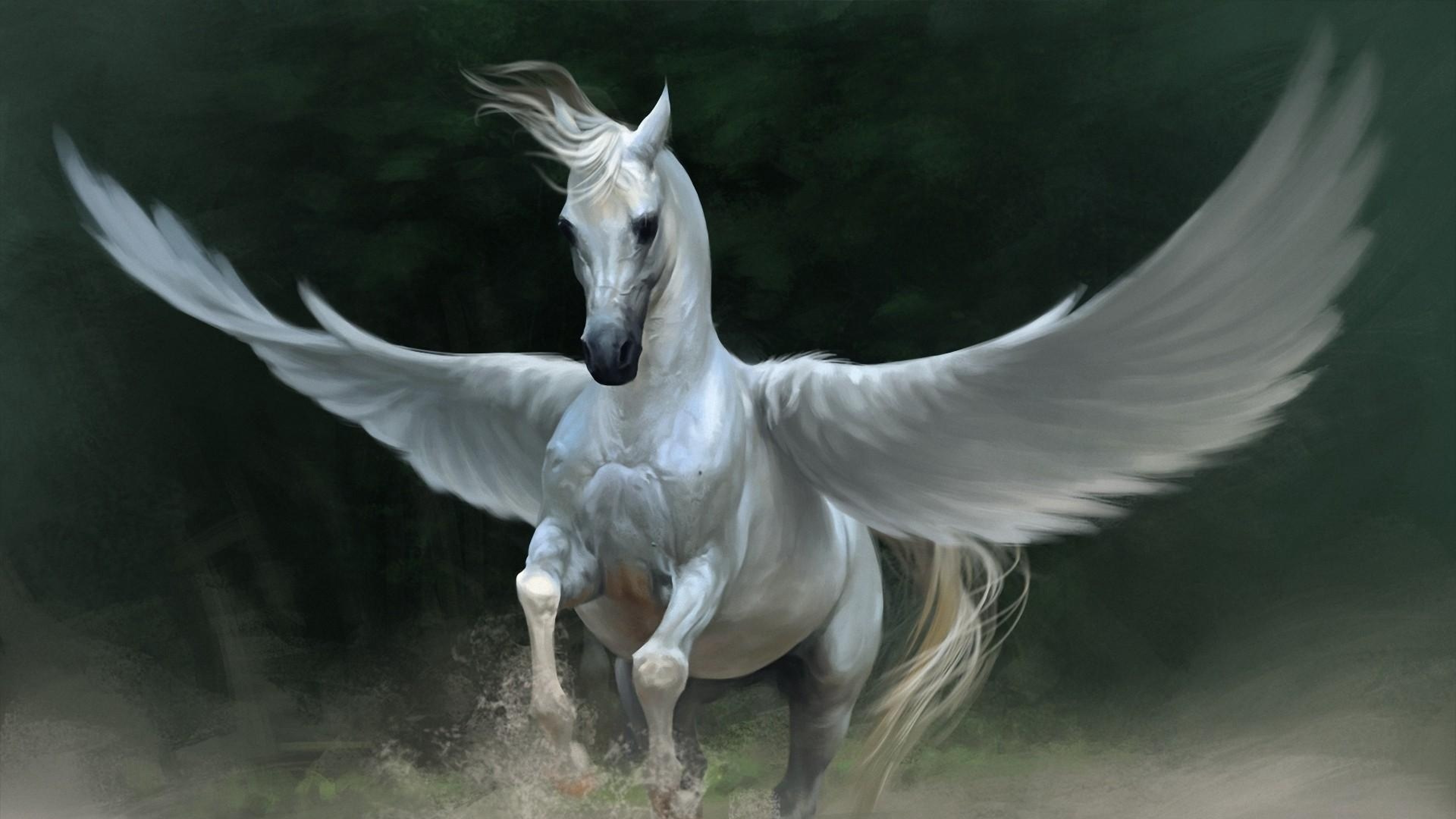 Horse life пегасы. Мифический крылатый конь Пегас. Акбузат конь крылатый. Пегас Пегий. Пегас древнегреческая мифология.