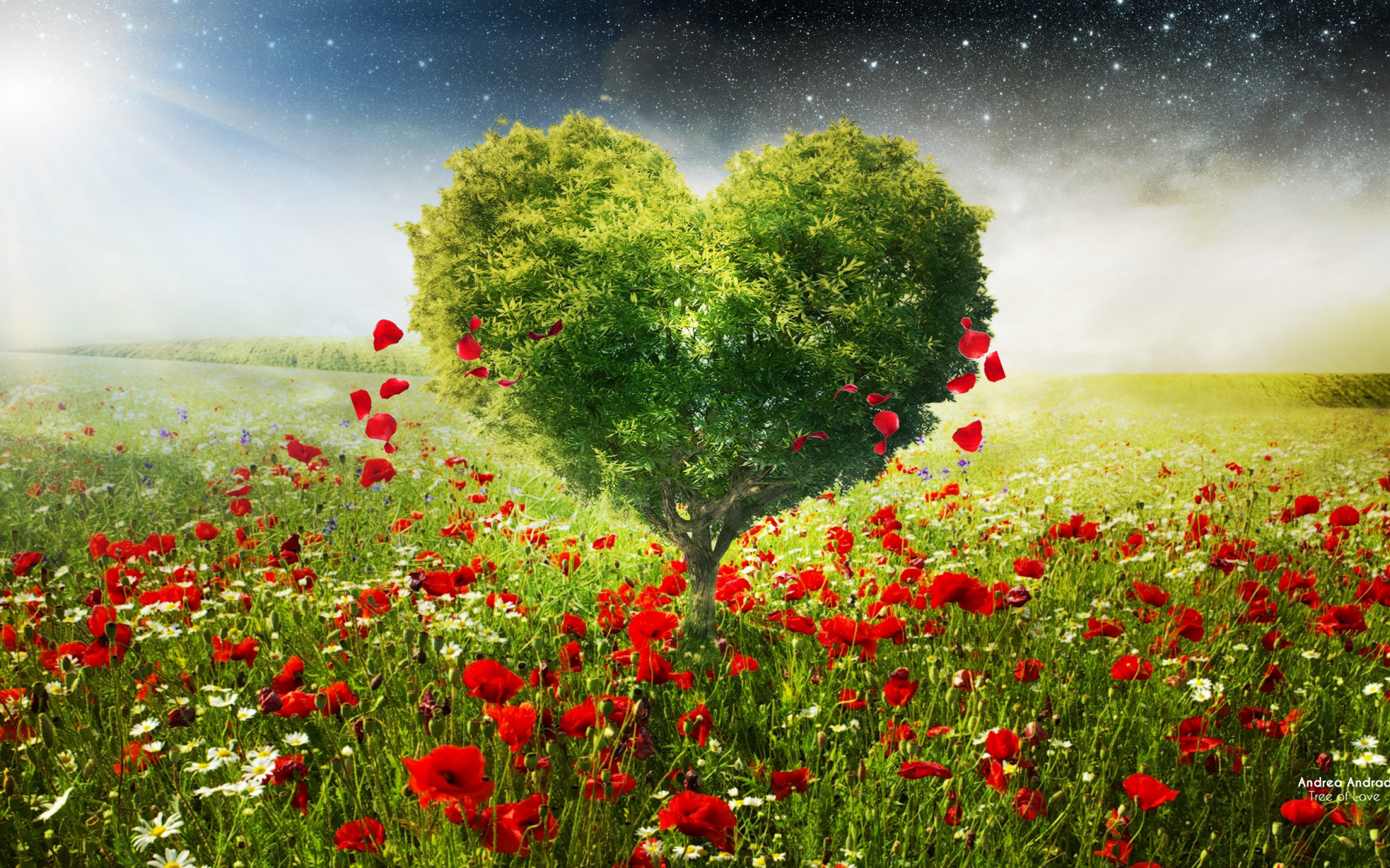 Природа любви описание. Любовь к природе. Красивое дерево сердце. Сердечки в природе. Пейзаж любви.