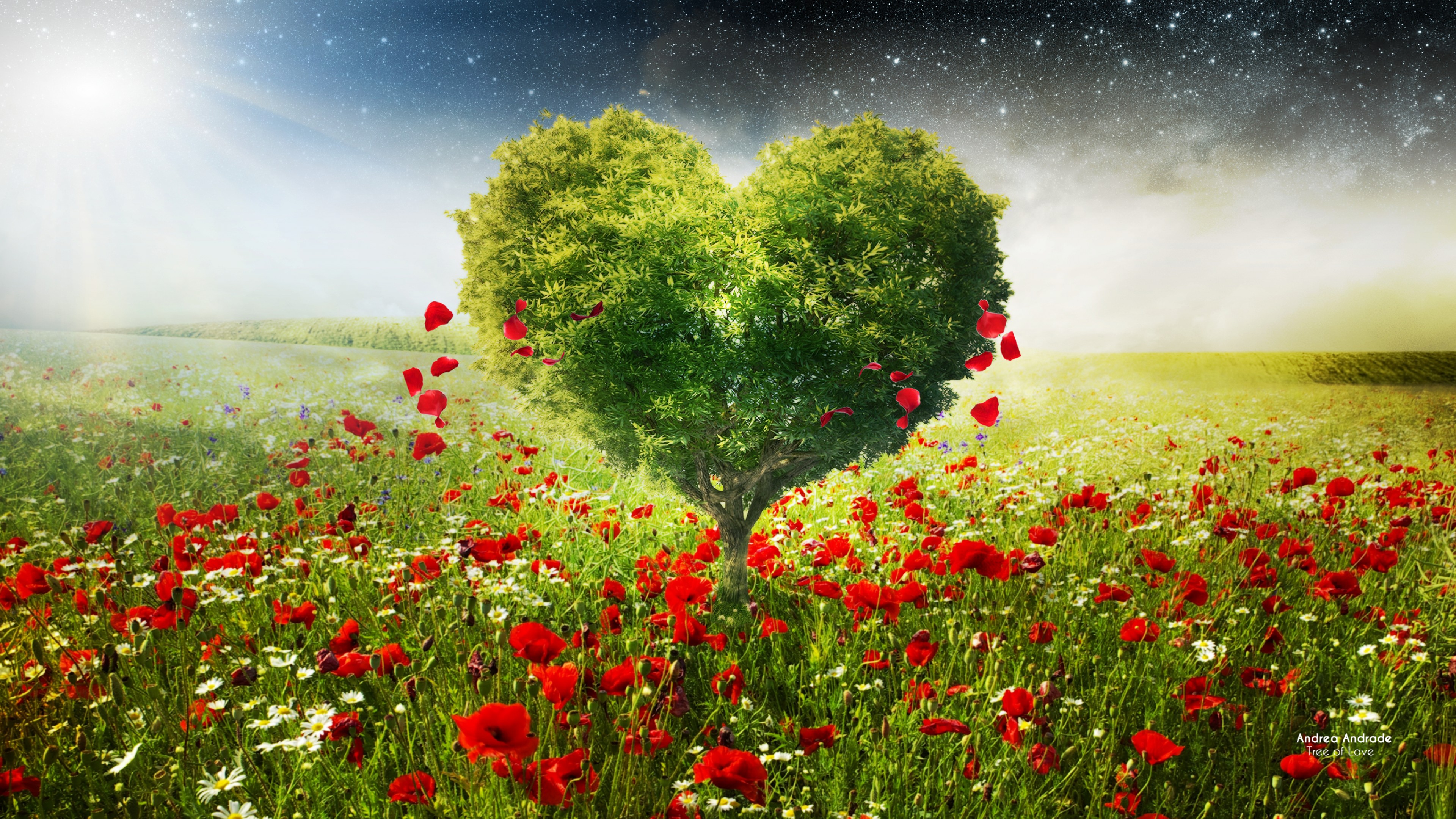 Пейзаж любви. Дерево сердце. Любовь к природе. Сердце в природе. Красивое дерево сердце.