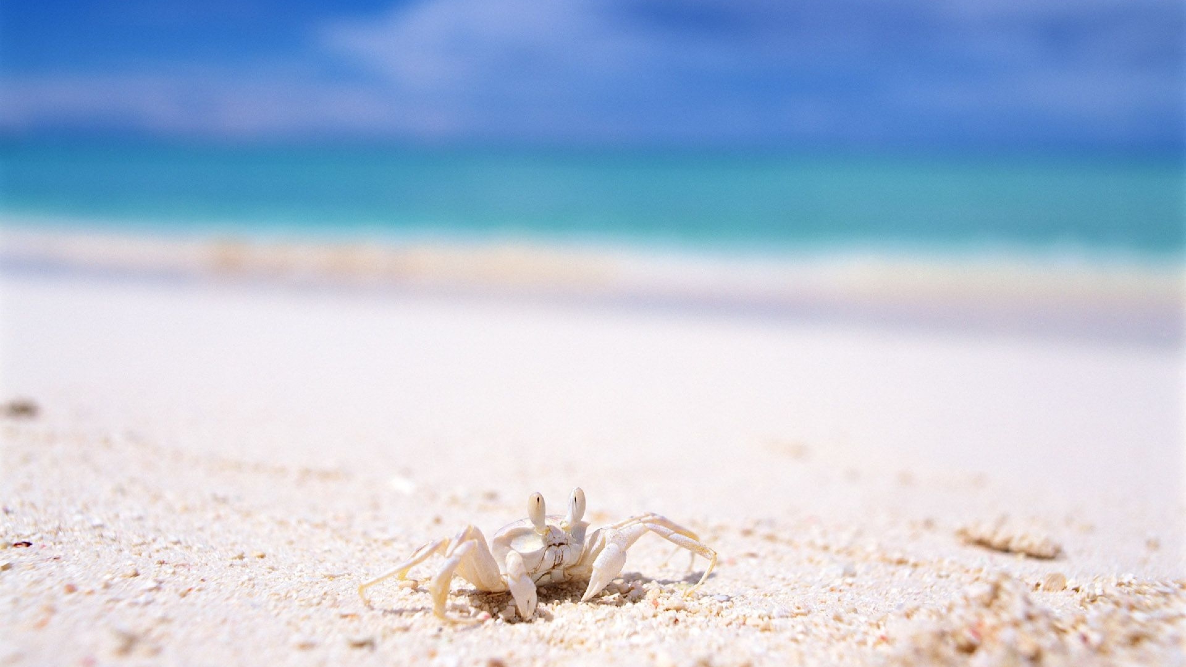 Пляж жар нежных. А на море белый песок. Пляж море песок. Фон для рабочего стола море. Морское побережье.