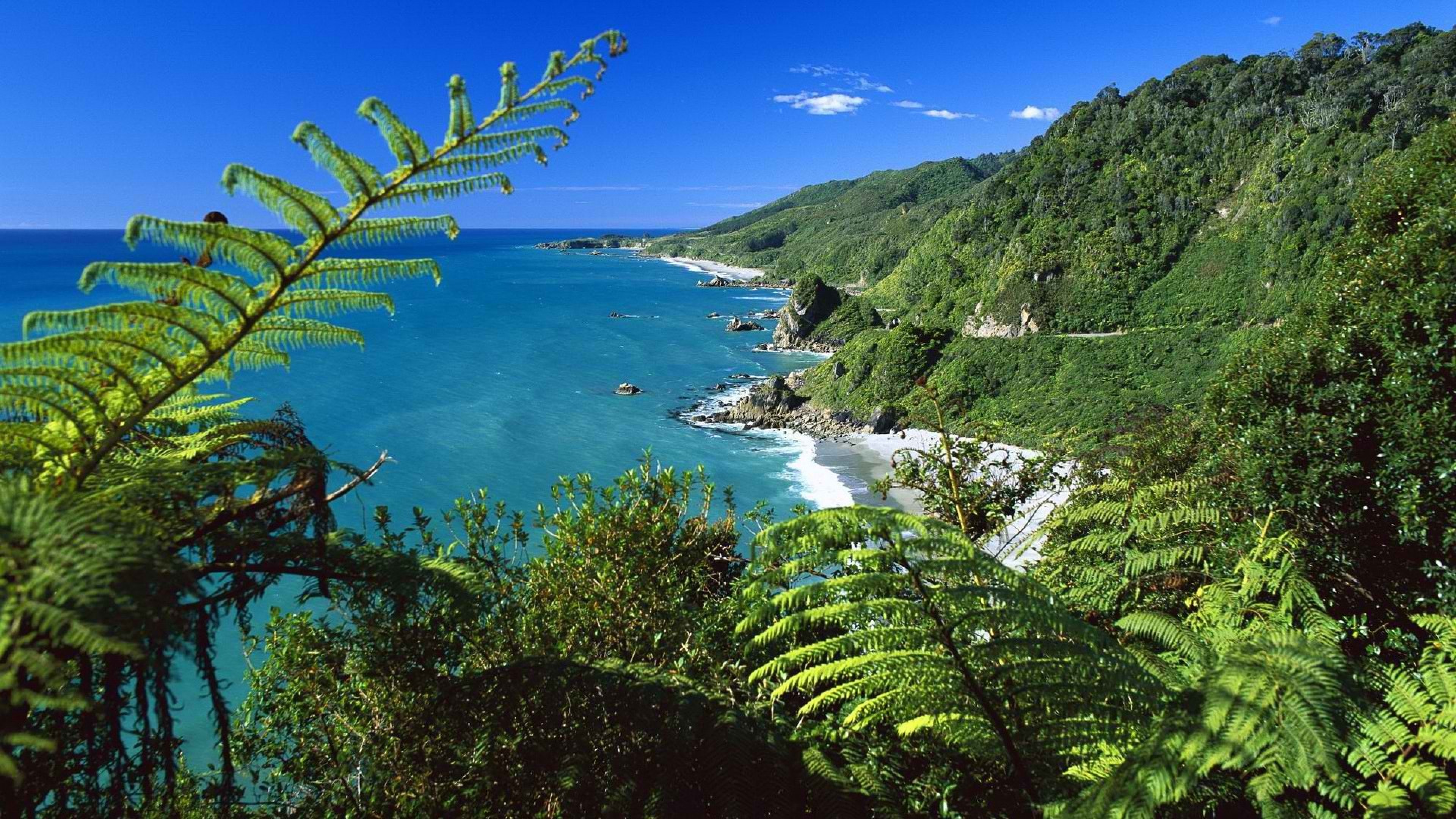 New zealand where. Национальный парк Папароа новая Зеландия. Новая Зеландия (New Zealand). Новая Зеландия Южный остров. Новая Зеландия природа Окланд.