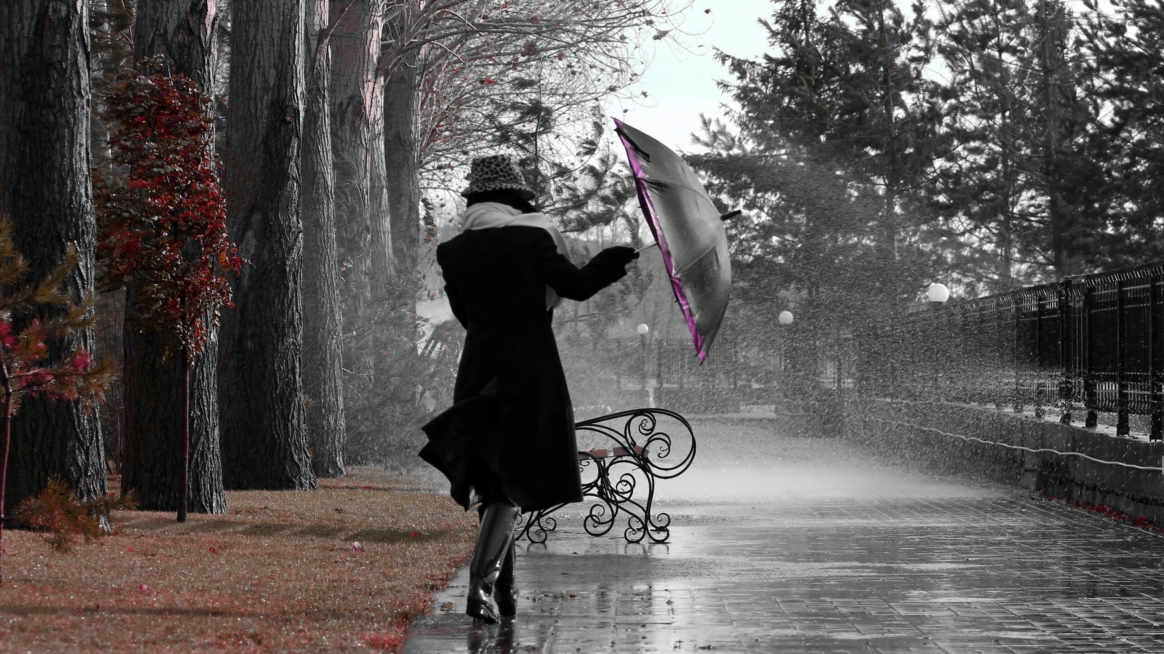 В саду гуляет ветер. Девушка с зонтом под дождем. Девушка под дождем. Девушка под зонтиком. Фотосессия с зонтиком.