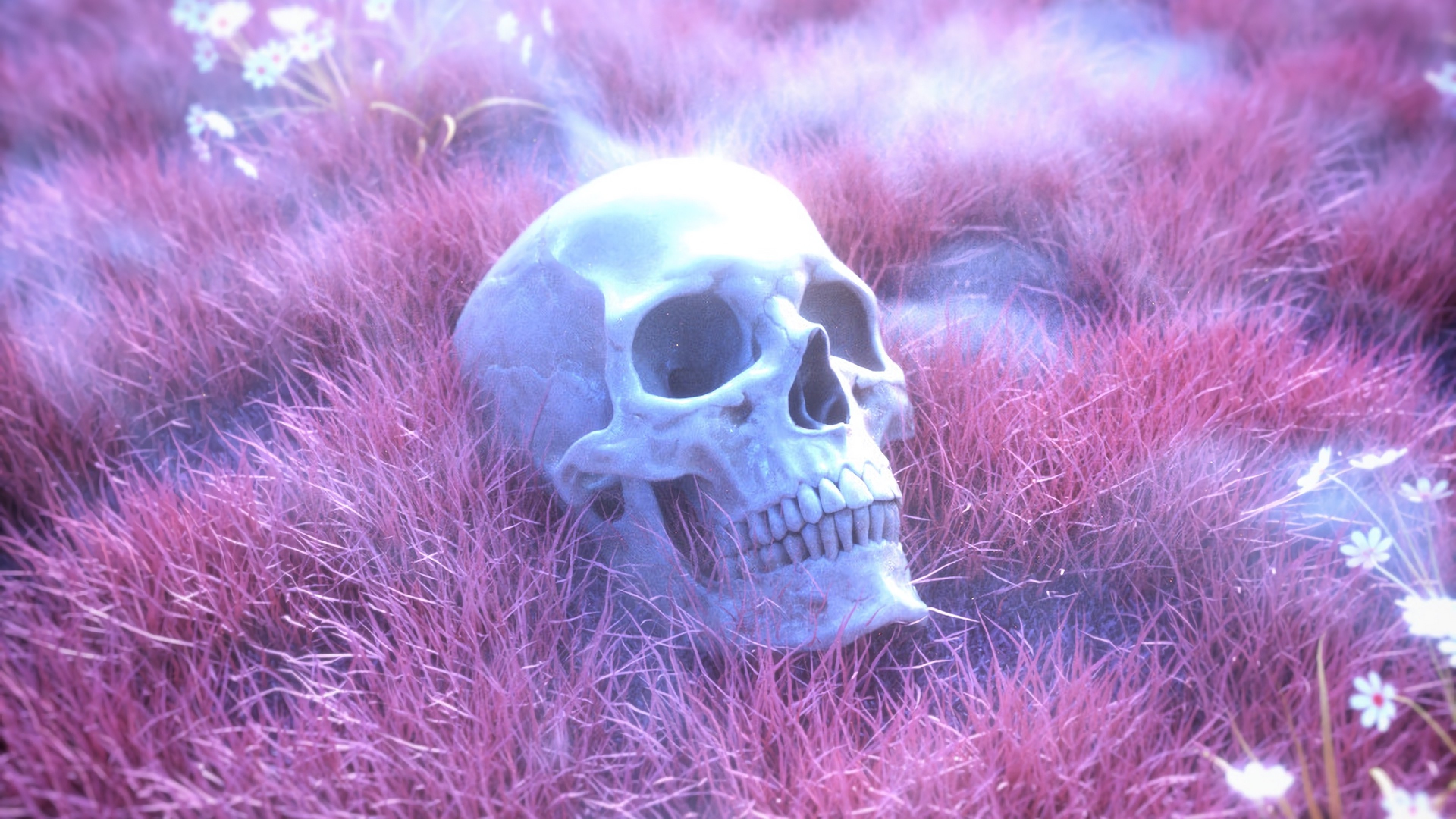 Coral phonk. Фиолетовый череп. Череп на розовом фоне. Череп на аву.