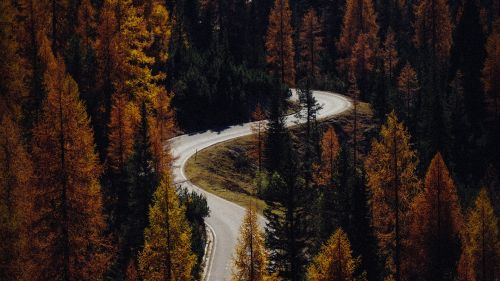 Aerial view of a road in the forest HD Wallpaper