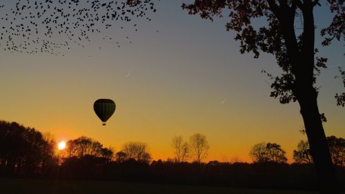 Air balloon flying at the horizon HD Wallpaper