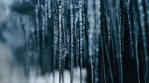 Amazing icicles HD Wallpaper