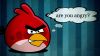 Angry Birds Are You Angry Hd Wallpaper for Desktop and Mobiles
