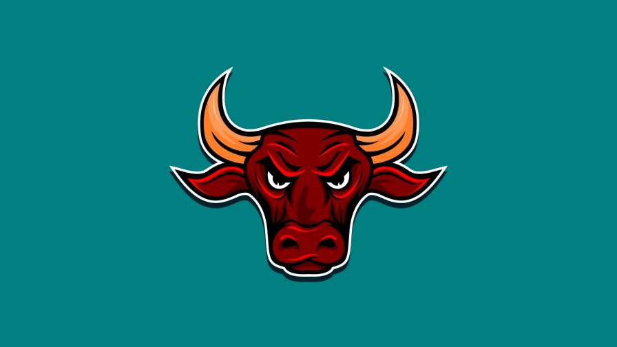 Angry bull HD Wallpaper