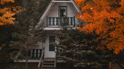 Autumn at the forest house HD Wallpaper