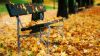Autumn Leaves On A Park Bench HD Wallpaper