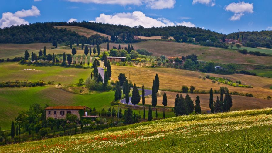 Beautiful italian farms on a hill HD Wallpaper