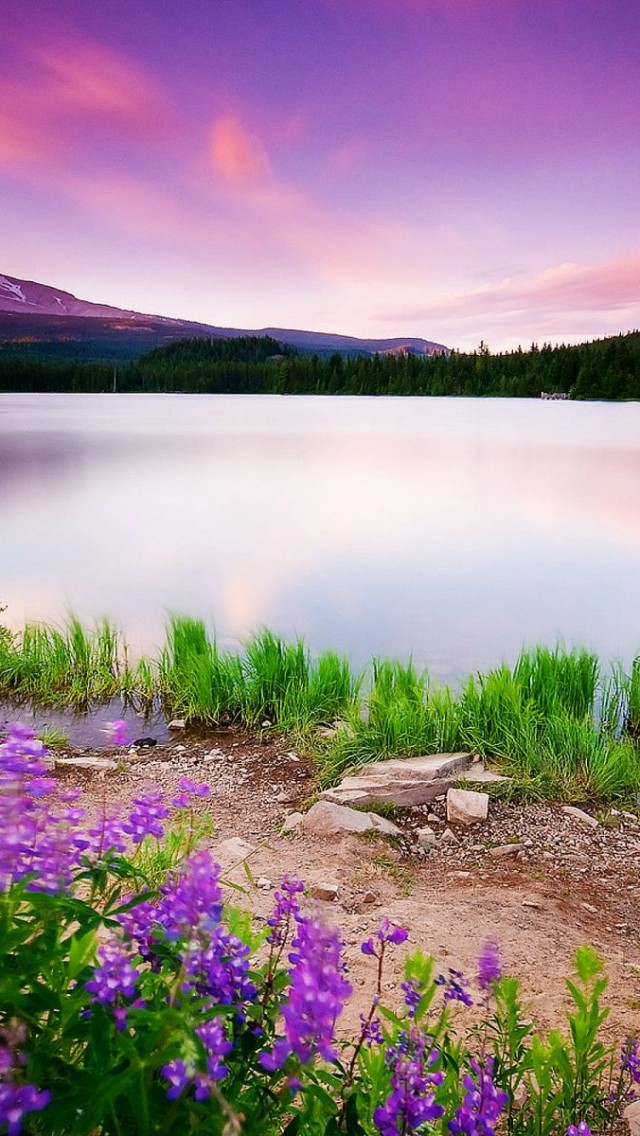 Beautiful Valley Lake