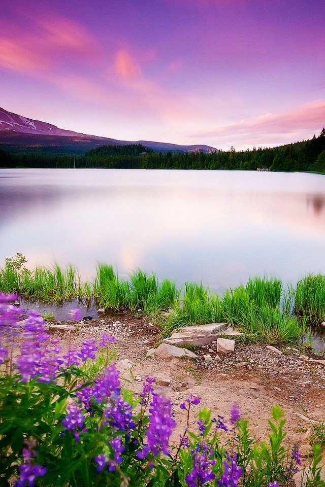 Beautiful Valley Lake