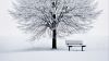 Bench covered in snow HD Wallpaper
